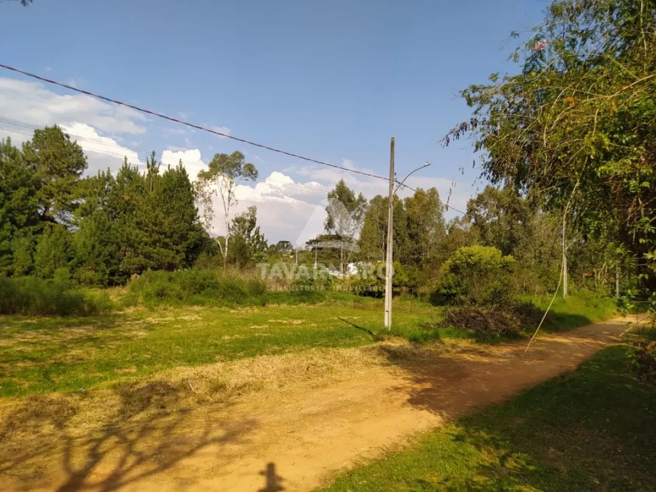 Terreno Padrão em Ponta Grossa - Foto 4