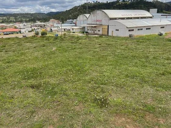 ÁREA À VENDA EM URUPEMA - Foto 2