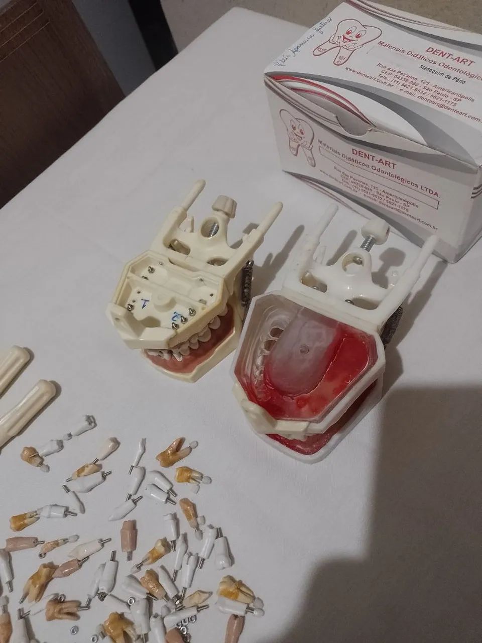 Kit de manequim odontológico  - Foto 4