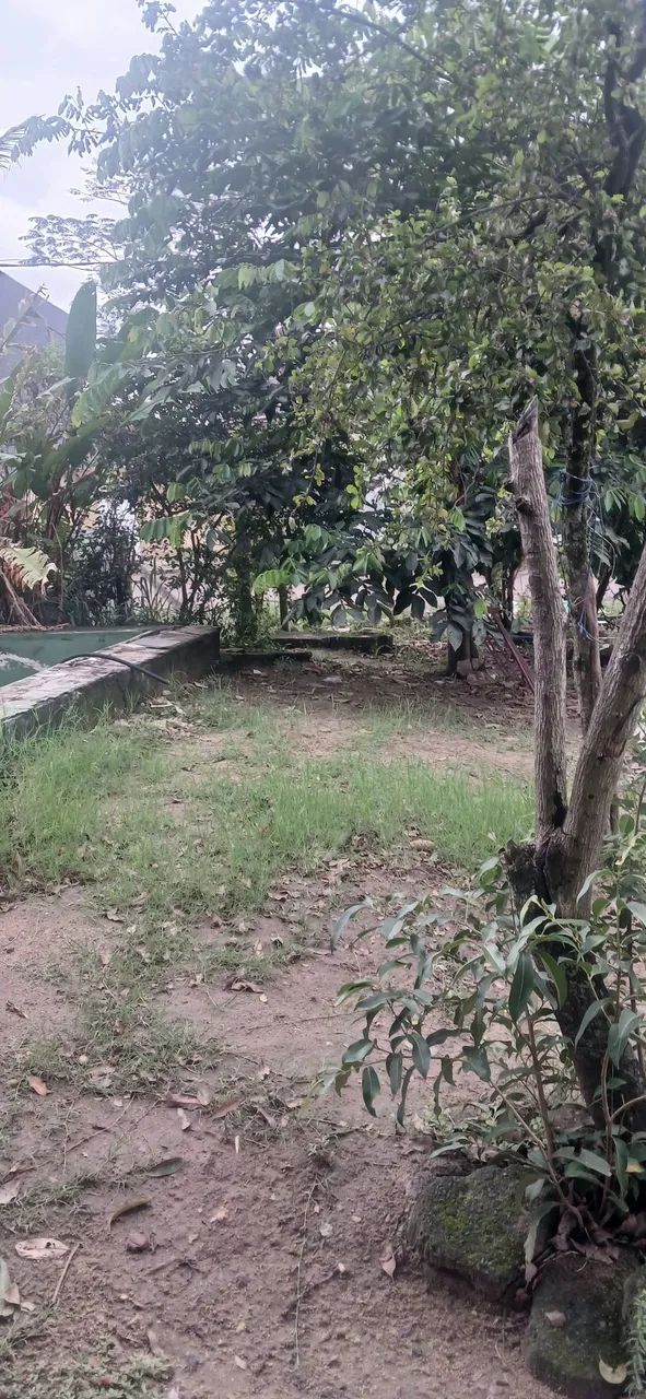 casas e terrenos  - Foto 3