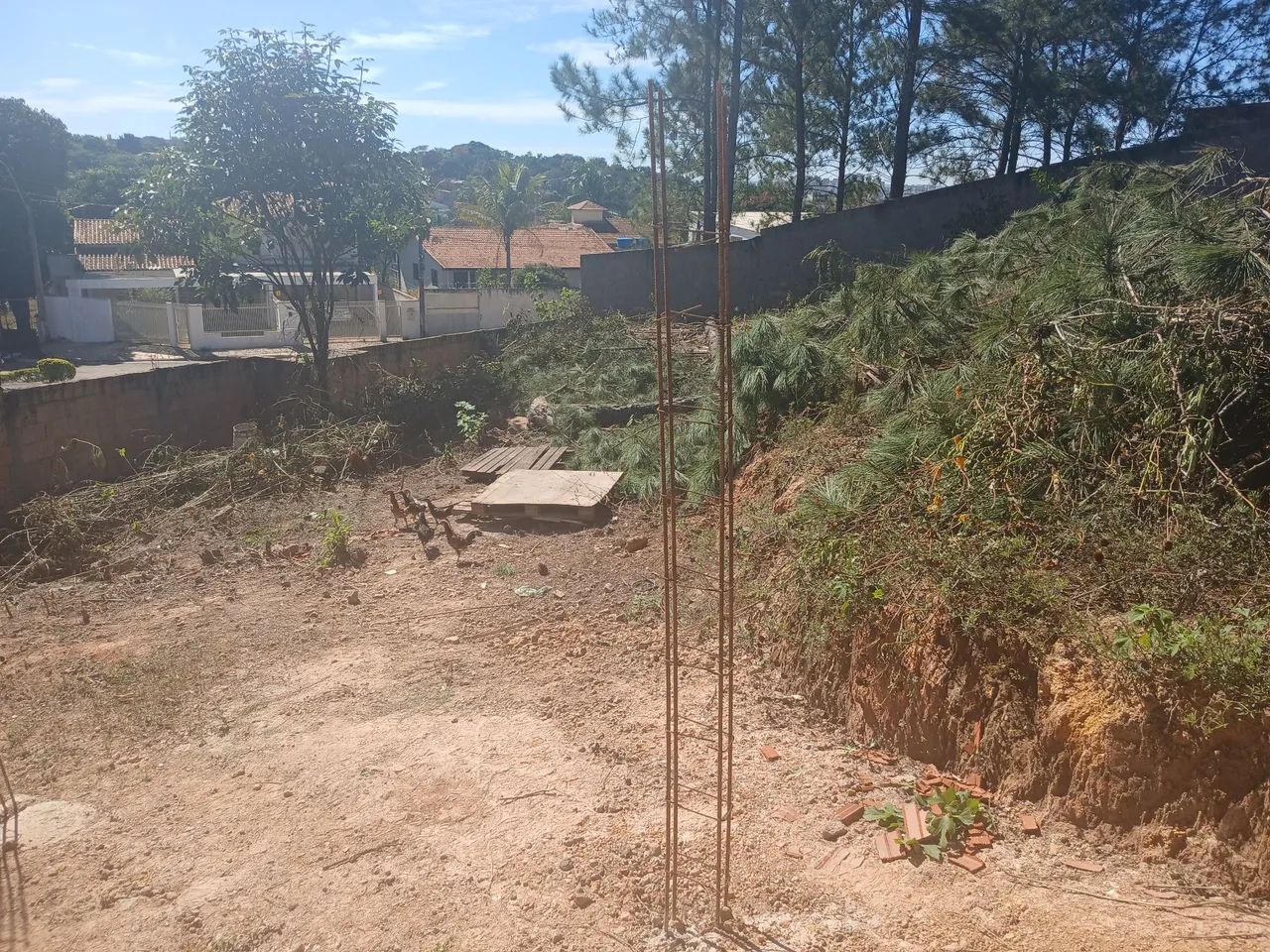Arninqueira  lote 400m2 bem localizado   - Foto 5
