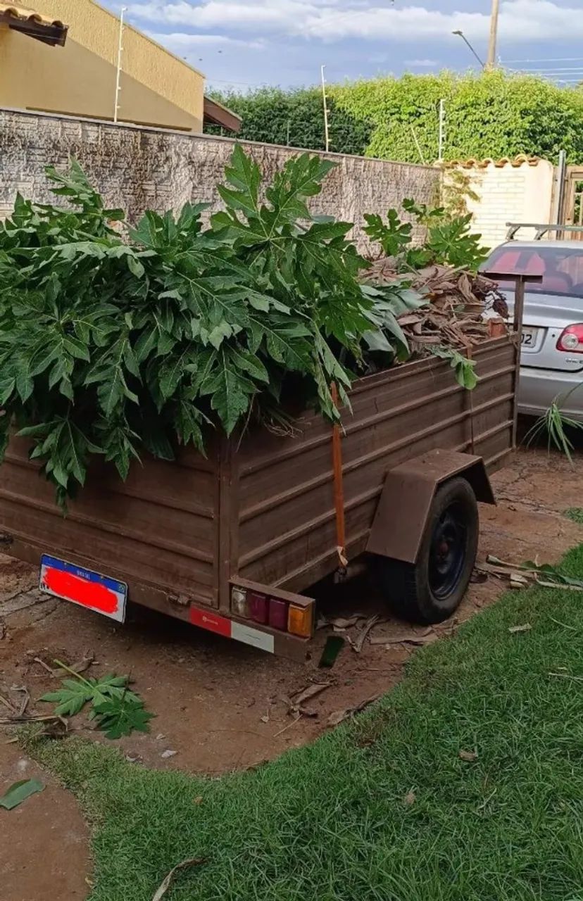 Limpeza de quintal com roçadeira e carretinha - Foto 2