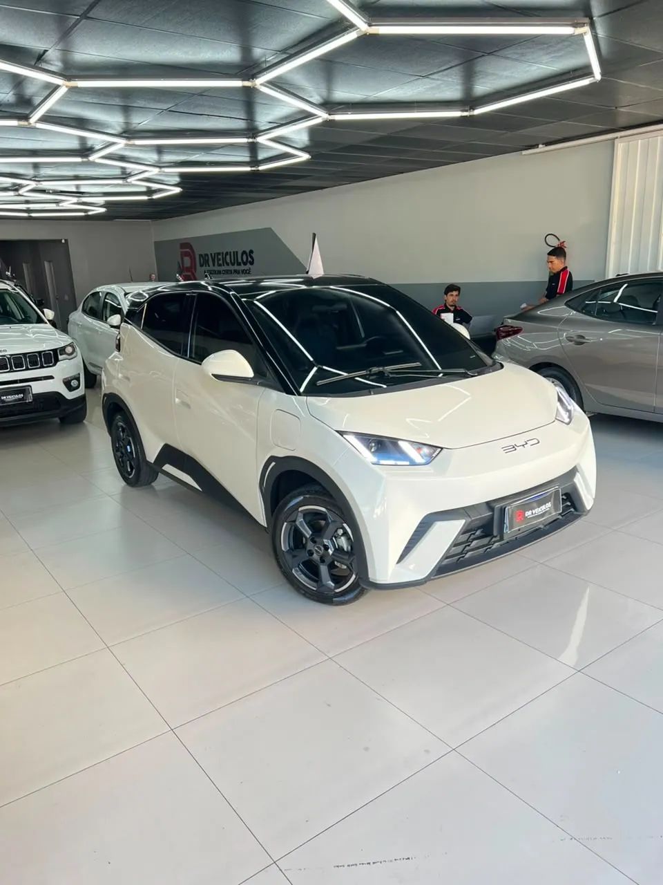 BYD Dolphin GS (Elétrico) 2025 - Foto 3