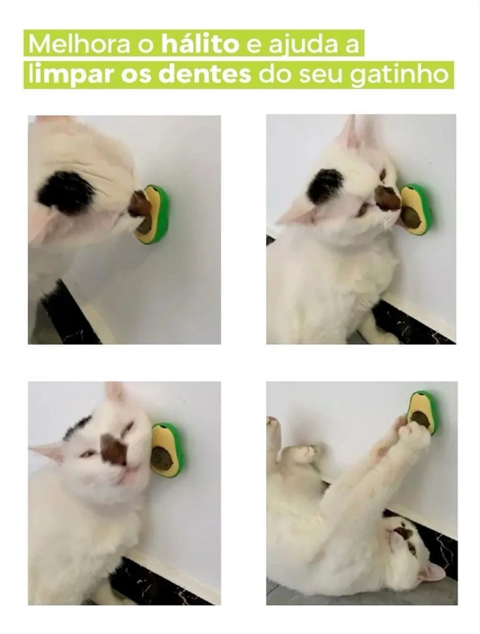 Catnip Abacate  - Foto 5