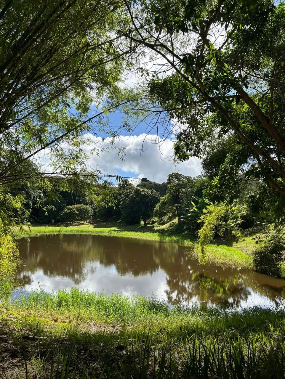 Terreno em Chã Grande - 800m2 - Foto 7