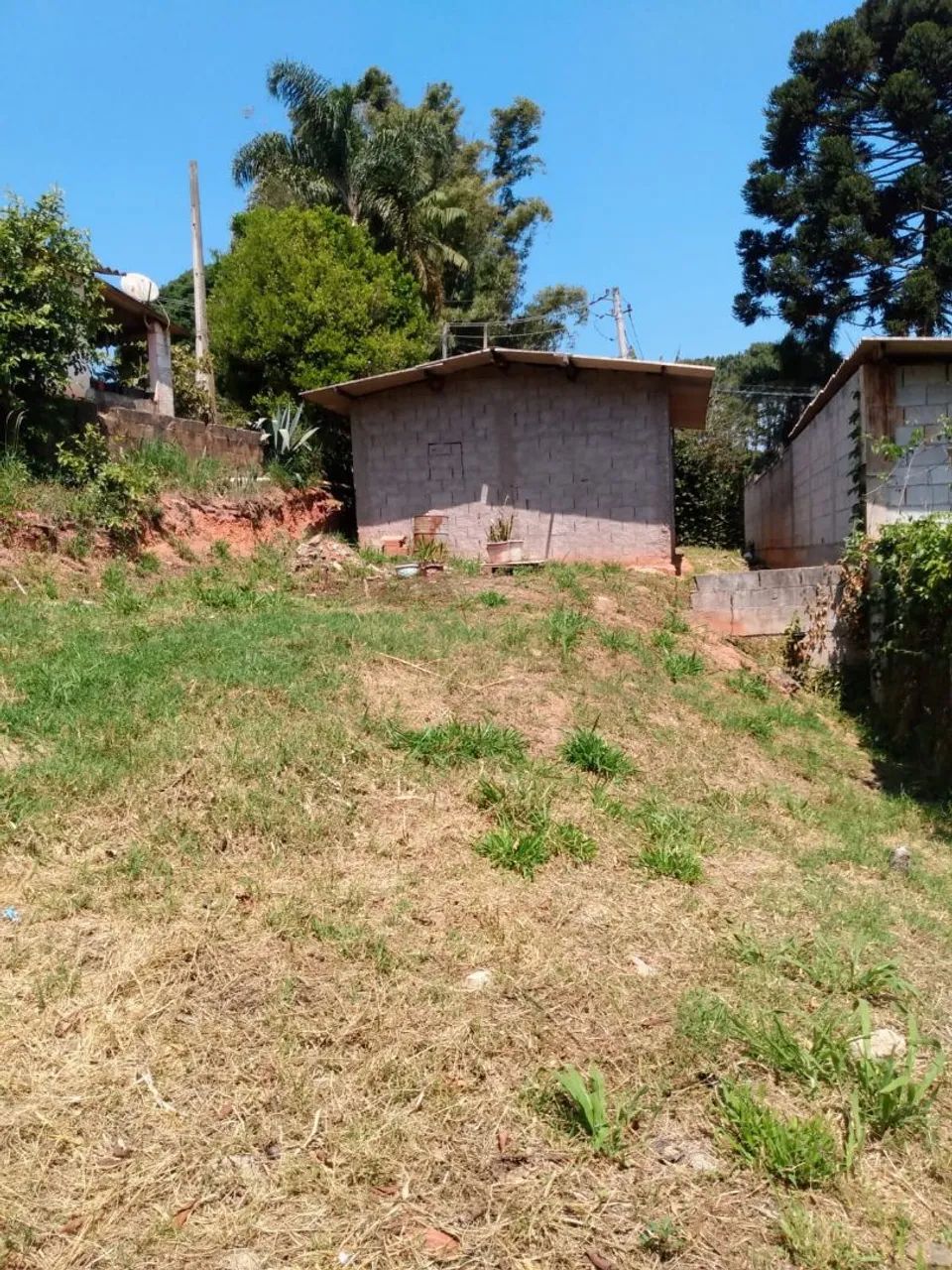 Foto - Cotia - Santana