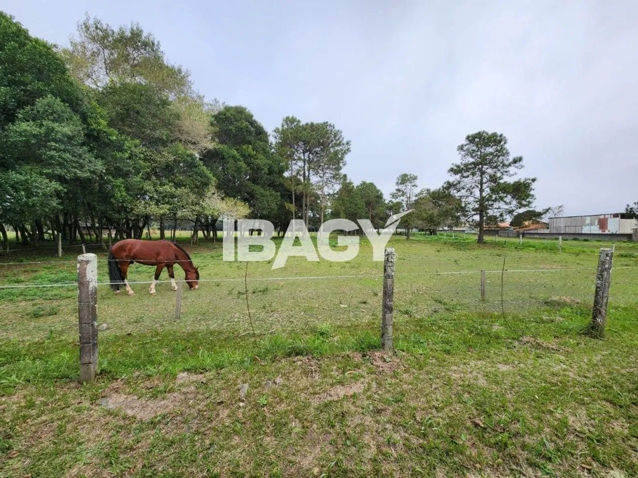 Oportunidade! Terreno em Canasvieiras - Florianópolis - Foto 2