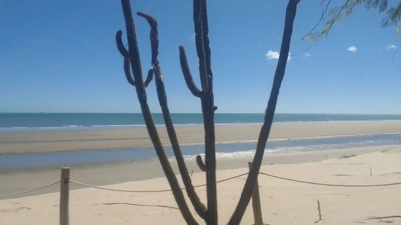 Praia Paradisíaca no RN - Foto 4