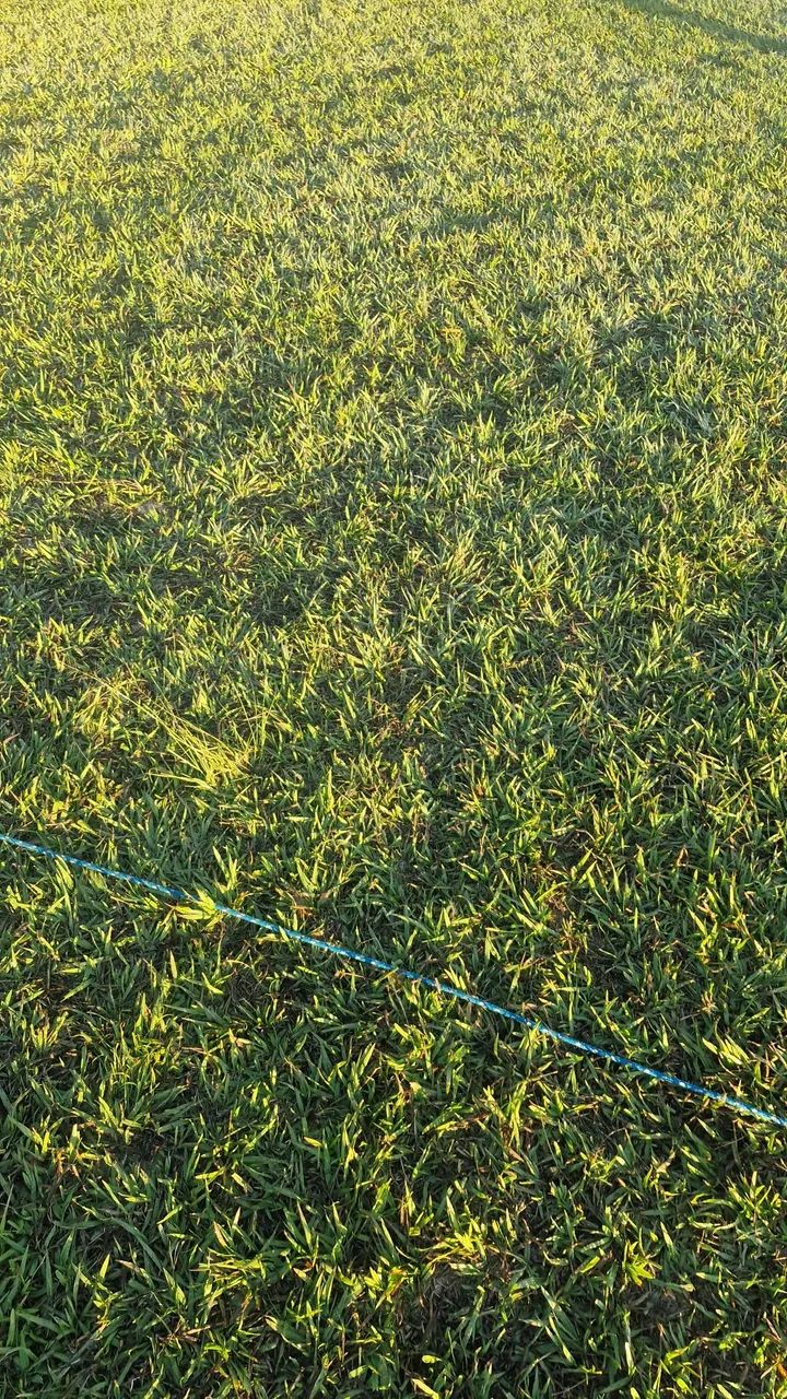 Procura-se  terreno  para parceria 