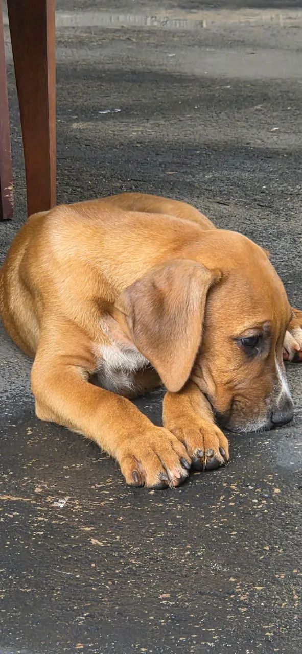 Doação  - Foto 4