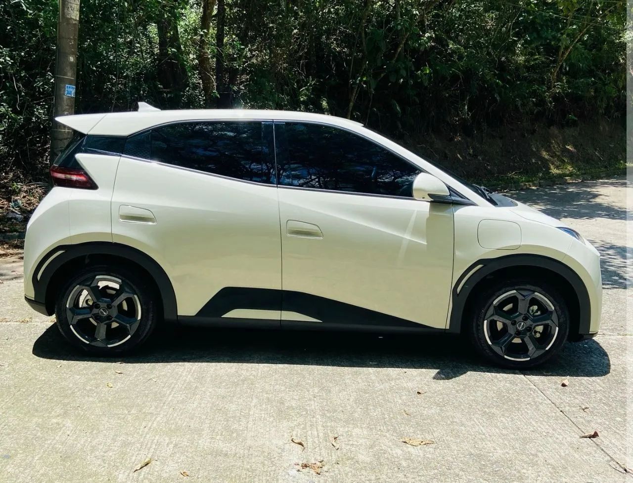 Alugo BYD Dolphin 2026 - Foto 2