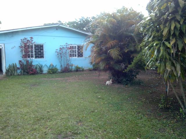 Sitio com casa alvenaria 02 dormitórios - Foto 2
