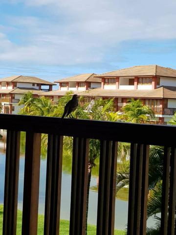 Vendo Casa Piscina Naturais - Foto 4