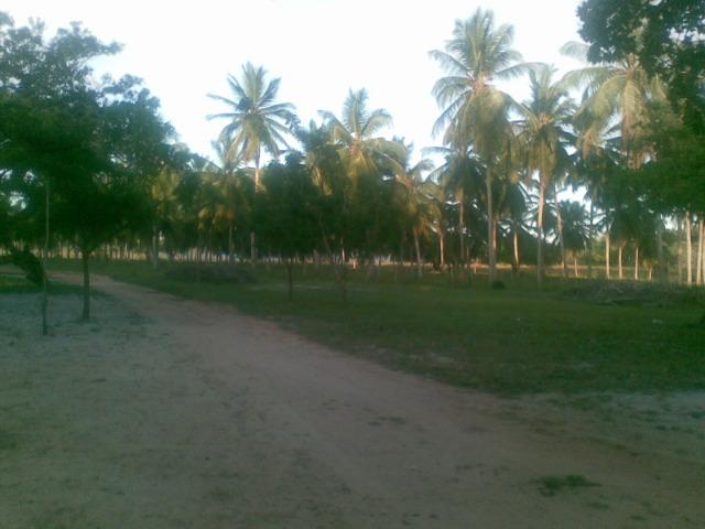 Fazenda 500ha - Foto 9
