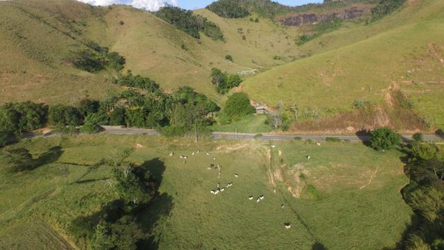 Pasto ao lado da RJ 153 Km 30,5 Volta Redonda