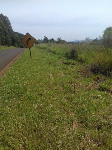 Excelente área de 17 alqueires perto de Santa Maria do Oeste - Foto 3