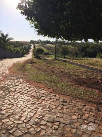 8046 | Terreno à venda em Condominio Marinas Do Paranapanema, Santa Inês - Foto 3