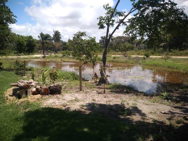Vendo terreno na praia do norte - Foto 3