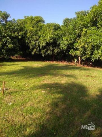 8046 | Chácara à venda em Munhoz De Melo, Munhoz De Melo - Foto 5