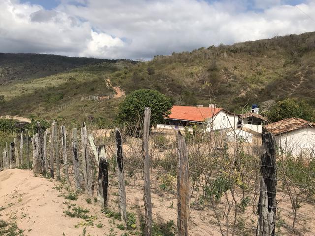 Fazenda em Minas - Foto 14