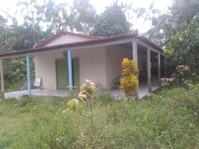 Sítio C/ Igarapé,Casa,Fonte Mineral,Galpão - Foto 2