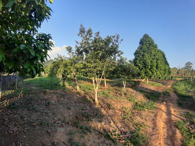 Vendo essa Colônia - Foto 9