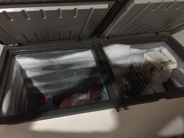 Freezer - Foto 3