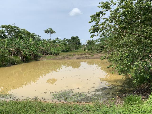 Chácara Ramal da Zeze - Foto 15