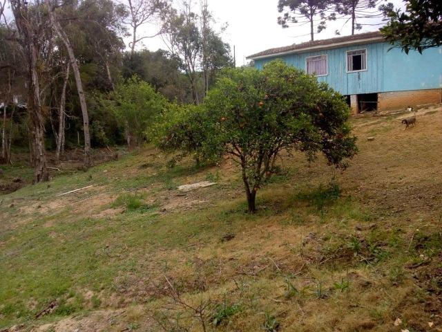 Vende-se chácara em Areia Branca - Mandirituba (cód. A355) - Foto 10