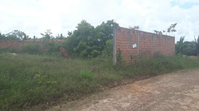 Terreno 10 x 25 Vila Embratel - Foto 2