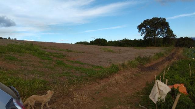 02 Chácaras em Mandirituba de 34.218,84 m² cada - Foto 10