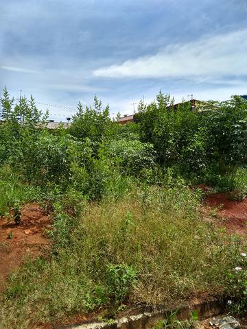 Terreno - Goianira - Parque dos Girassóis - Foto 3