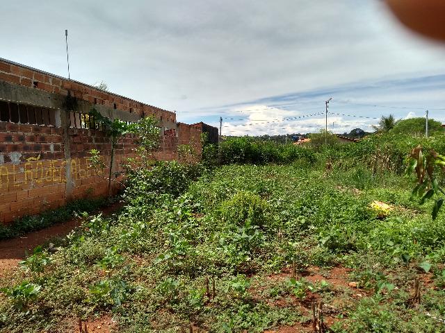 Terreno - Goianira - Parque dos Girassóis - Foto 5