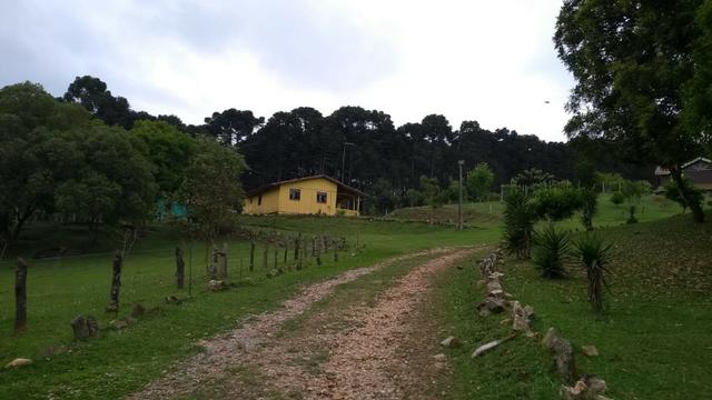 Chácara com 64.208m², com 2 casas a 4 km do Centro de Balsa Nova - Foto 3