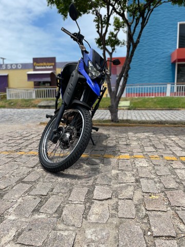 VENDO LANDER 2019/20