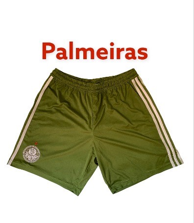 Palmeiras G novo 