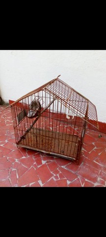 Gaiolas de passarinhos, 4 por R$60 - Foto 2