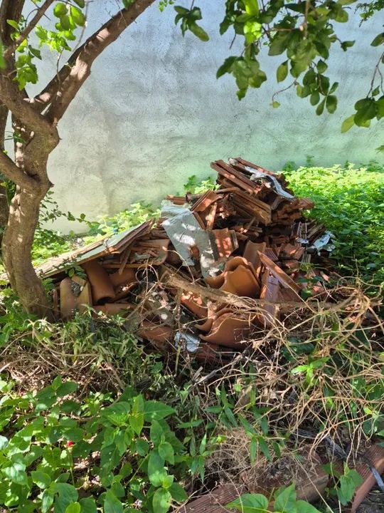 Serviço de limpeza e descarte ao pev . - Foto 2