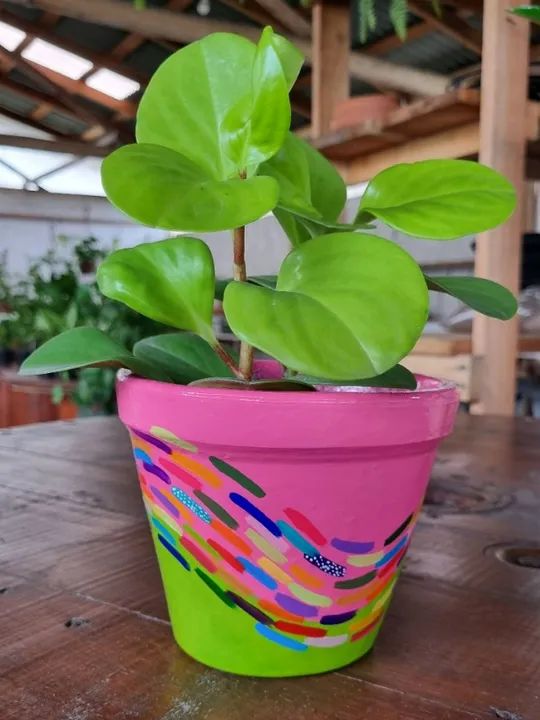 Vaso Cachepot de cerâmica pintado à mão - Foto 5