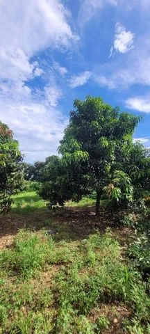 Terreno à venda no Agricola Santa Clara em Monte Mor/SP. - Foto 2