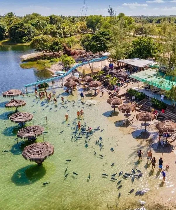 Carnaval na praia !!! - Foto 4