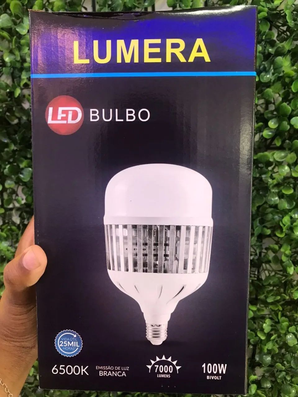 Lâmpada led bulbo 100w 6000k 