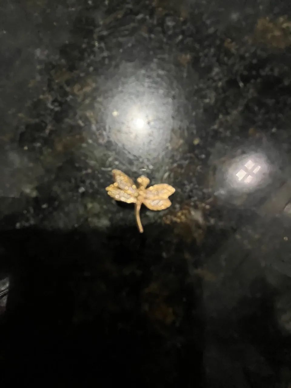 Pingente libélula de ouro 18k