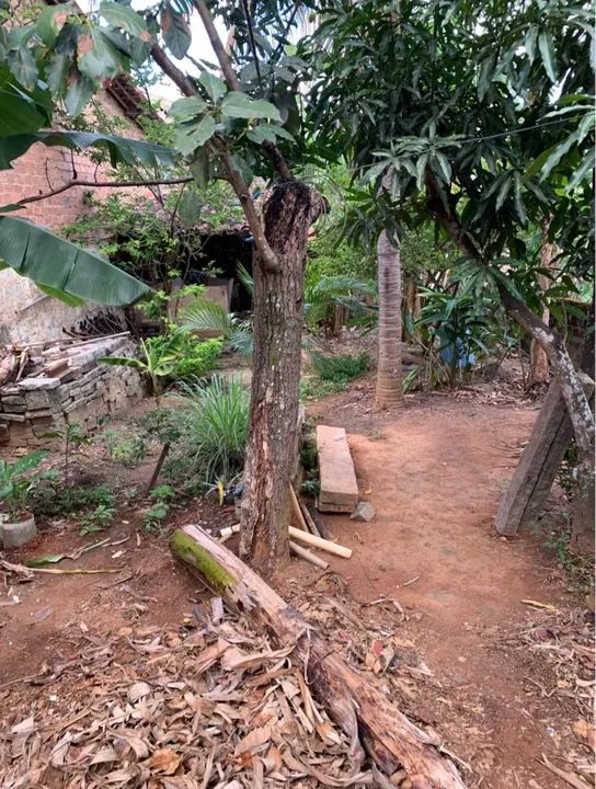 - Casa no São Raimundo  - Foto 4