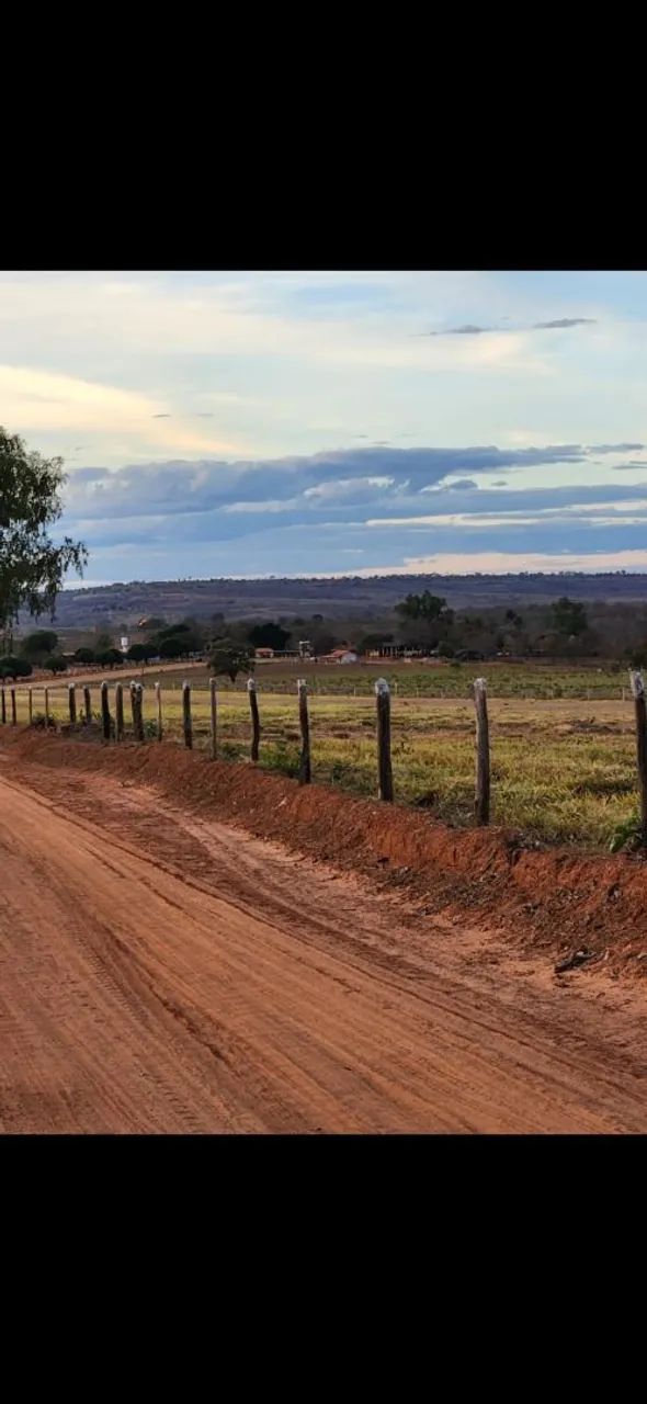 1500 para gado top barata pag parcelado - Foto 2
