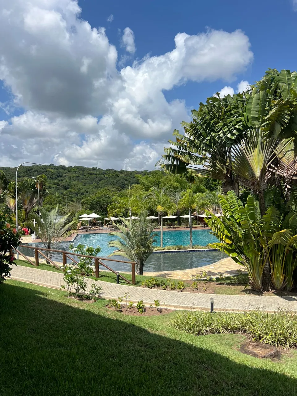 Lote no Francisco Brennand