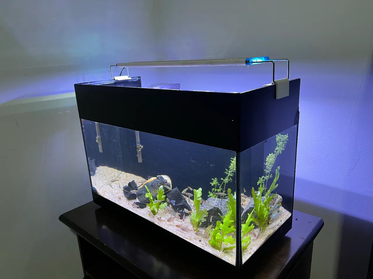 Aquário completo 