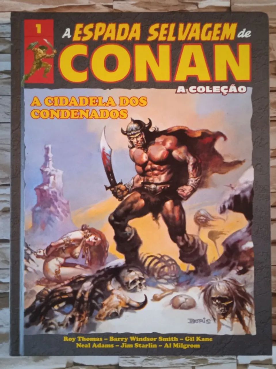 Livro A Espada Selvagem de Conan( A Coleção - A Cidadela dos condenados, Vol.1)