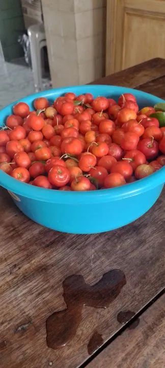 Vendo acerolas na bacia - Foto 2
