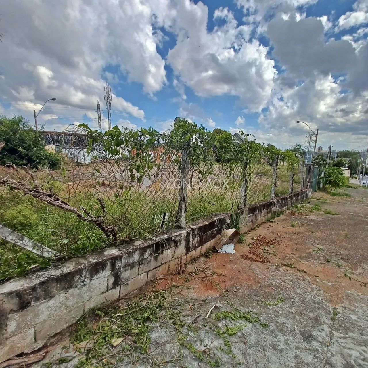 área - Chácara da Barra - Campinas - Foto 2